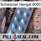 Black Stallion 9000 viagra3
